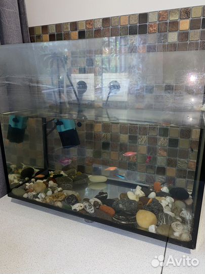 Аквариум с рыбками бу
