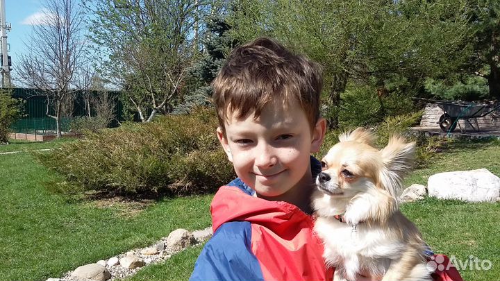 Гостиница для животных