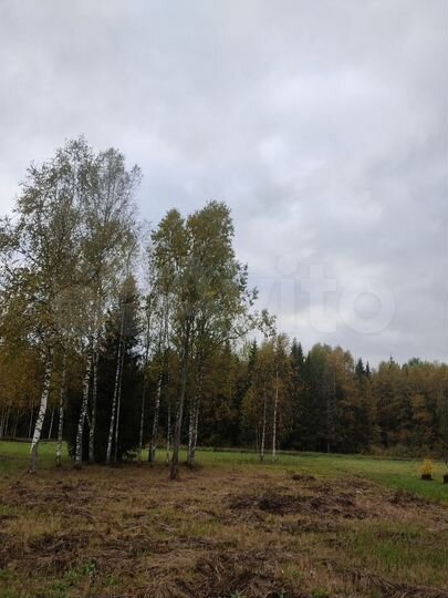 Участок 15 сот. (СНТ, ДНП)