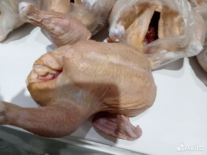 Куры домашние мясо