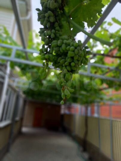 2-к. квартира, 45 м², 1/2 эт.