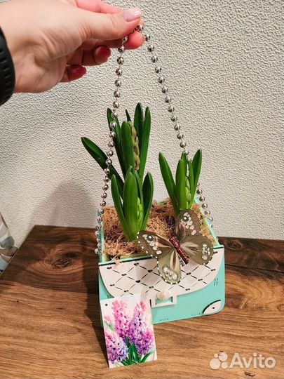 Цветы в кашпо, корзинах