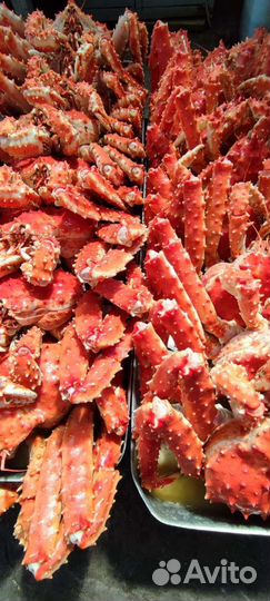 Краб камчатский королевский