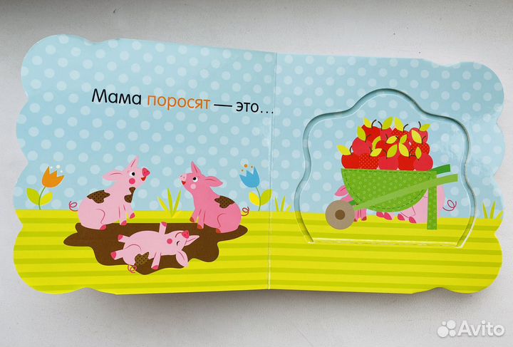 Книжка с окошками Цвета Clever