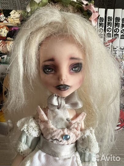 Ooak Monster High