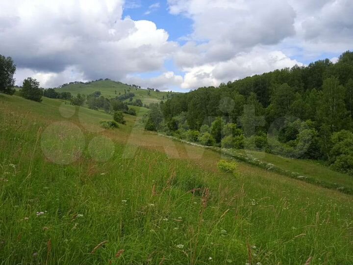 Участок 24 га (СНТ, ДНП)