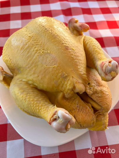 Бройлер домашний