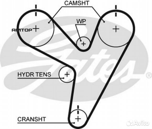 Gates T219 Зубчатый ремень