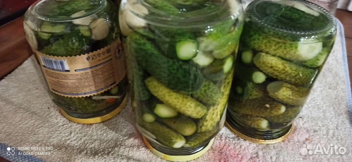 Продам огурцы