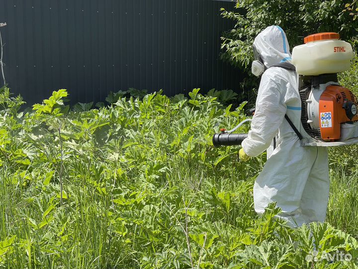 Уничтожение насекомых