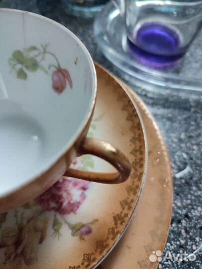 Чайная пара старинная Австрия розы