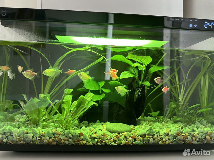 Аквариум Xiaomi 20л