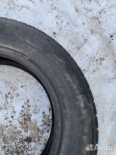 Nexen Winguard 231 195/65 R15