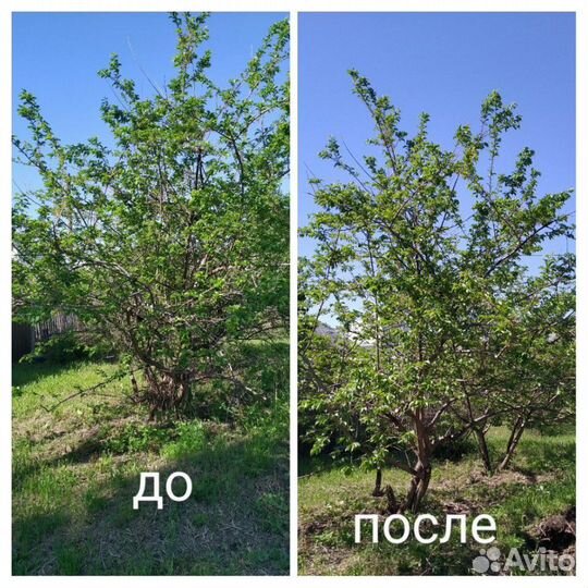 Благоустройство территории. Покoс травы триммером