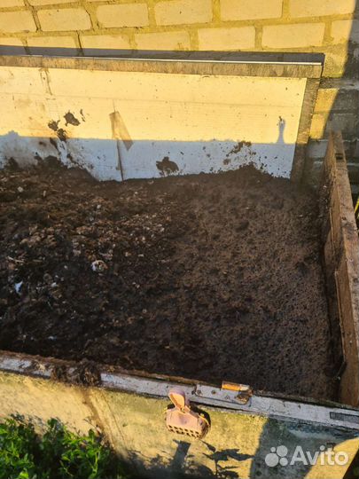 Куриный помет