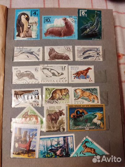 Почтовые марки