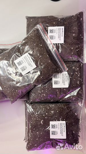 Грунт для рассады