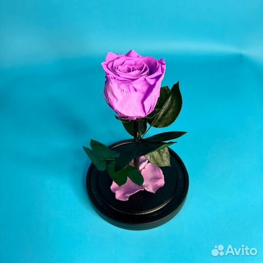 Стабилизированные розы в колбе