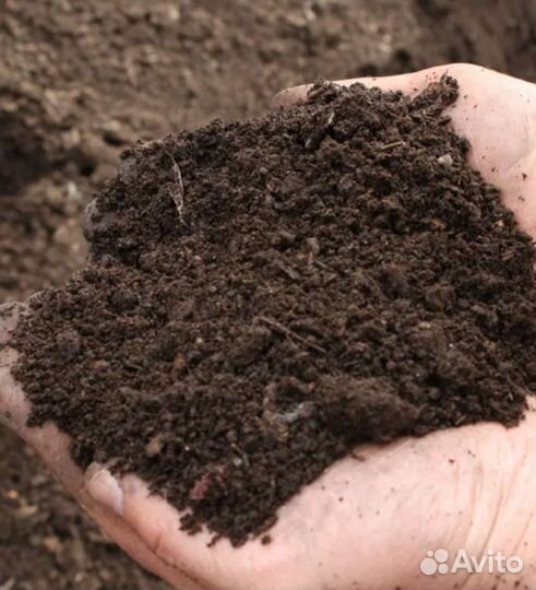 Новоз, перегной,чернозём