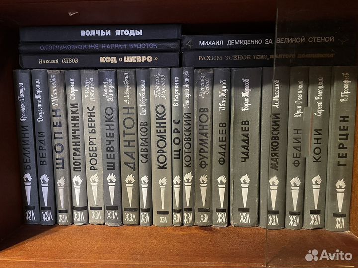 Книги серии жзл