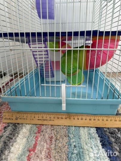 Клетка для сирийского хомяка