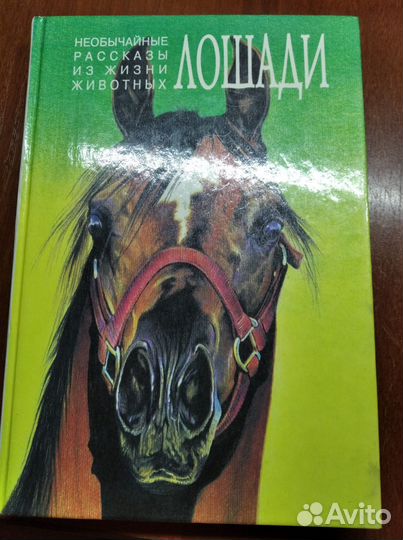 Манга «Гангста»