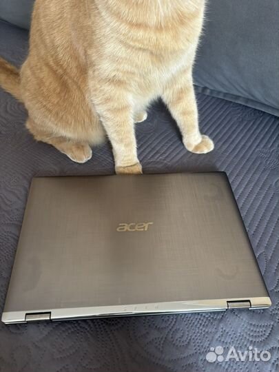 Acer spin 1