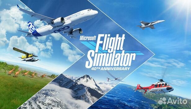 Microsoft flight simulator