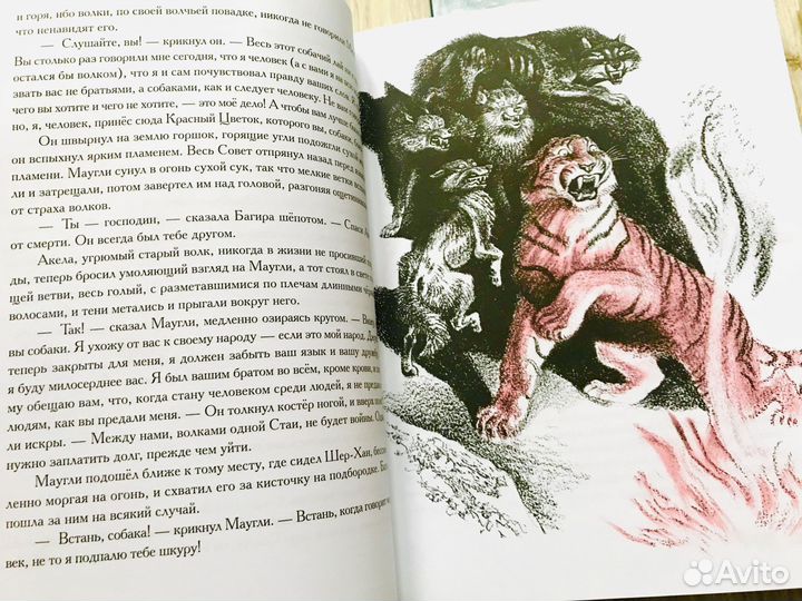 Киплинг Маугли, Снофрид, Мотшиуниг, Золотой ключик