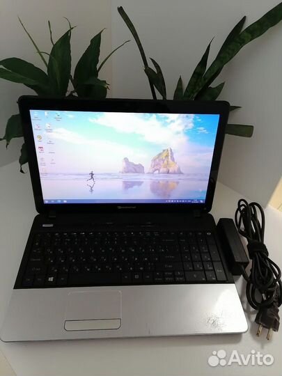 Packard bell EasyNote TE11HC для работы и серфинга