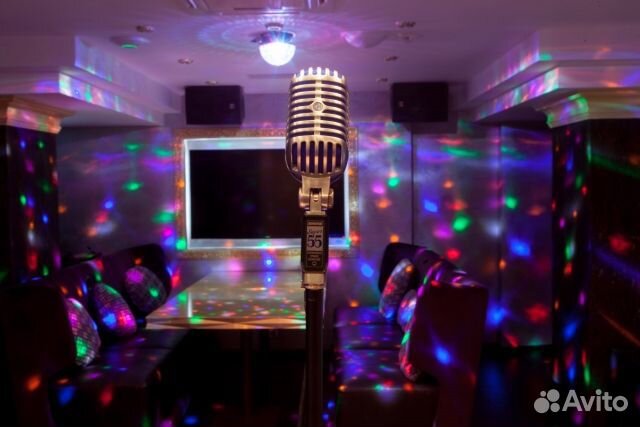 Караоке EVO колонки,микрофон, для кафе доставка