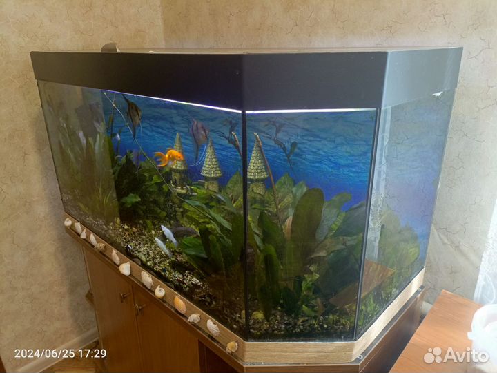 Аквариум