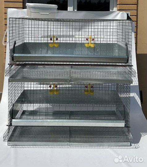 Клетки для кур несушек