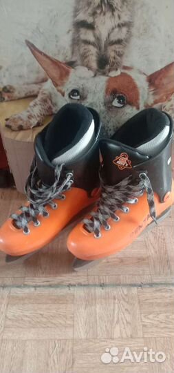 Сноубордические ботинки