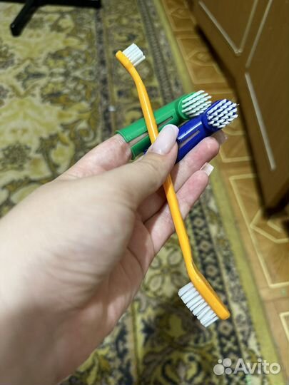 Принадлежности для кошек