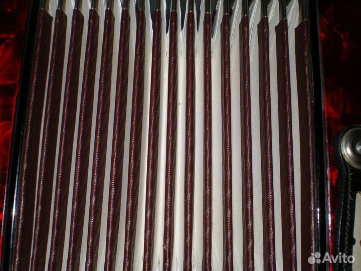 Аккордеон royal standard