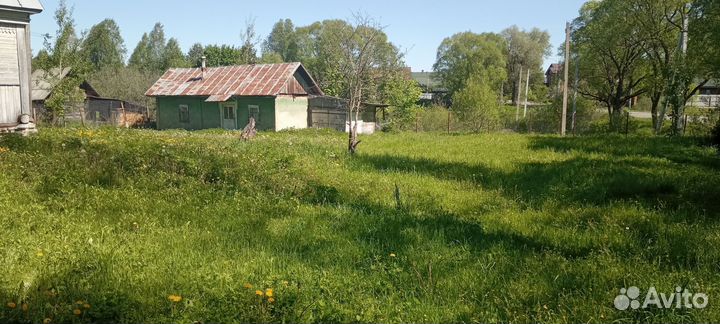 Покос травы триммером