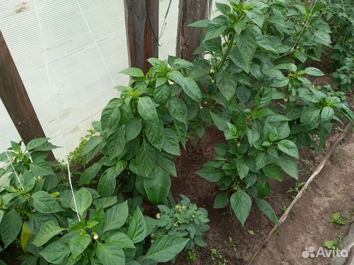 Сено в мешках