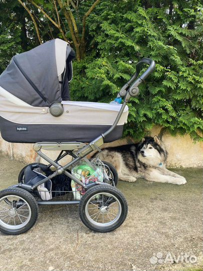 Коляска inglesina sofia