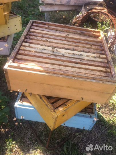 Мед натуральный