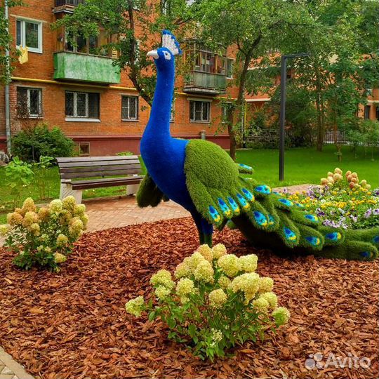 Рулонный газон на дачу под ключ