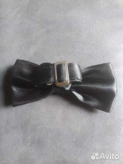 Бабочка новая