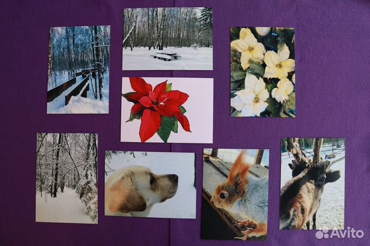 Наборы почтовых открыток