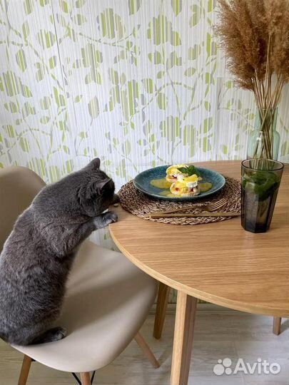 Круглый стол