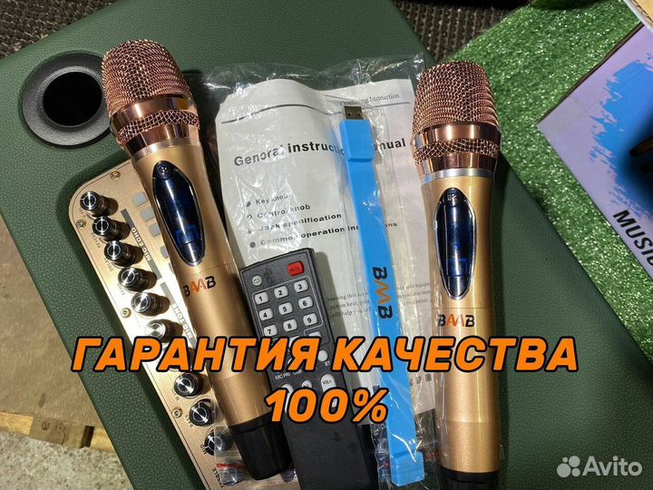 Колонка baab 1000 с караоке и микрофоном