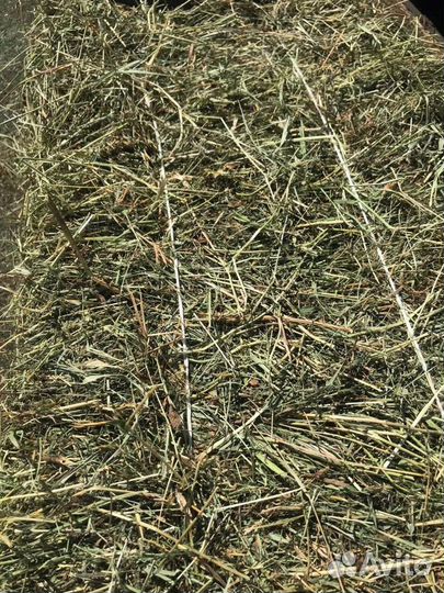 Сено и Опилки в тюках