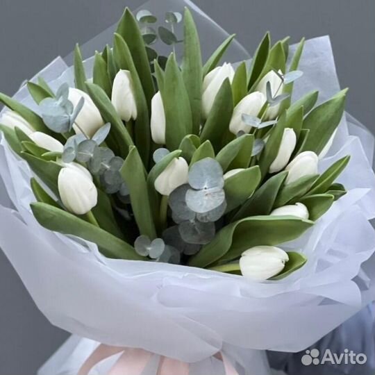Букет из 19 белых тюльпанов с эвкалиптом