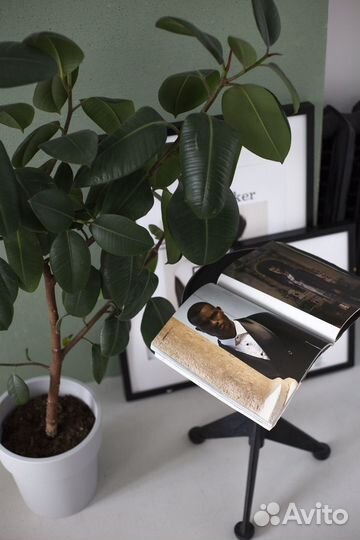 Аренда фотостудии