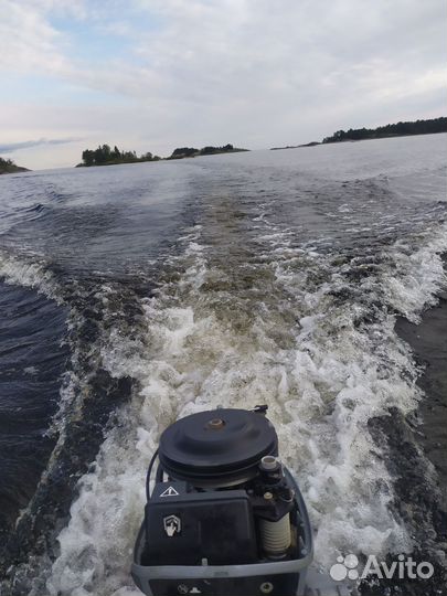 Evinrude 2тактный