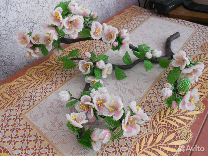 Ветка яблони